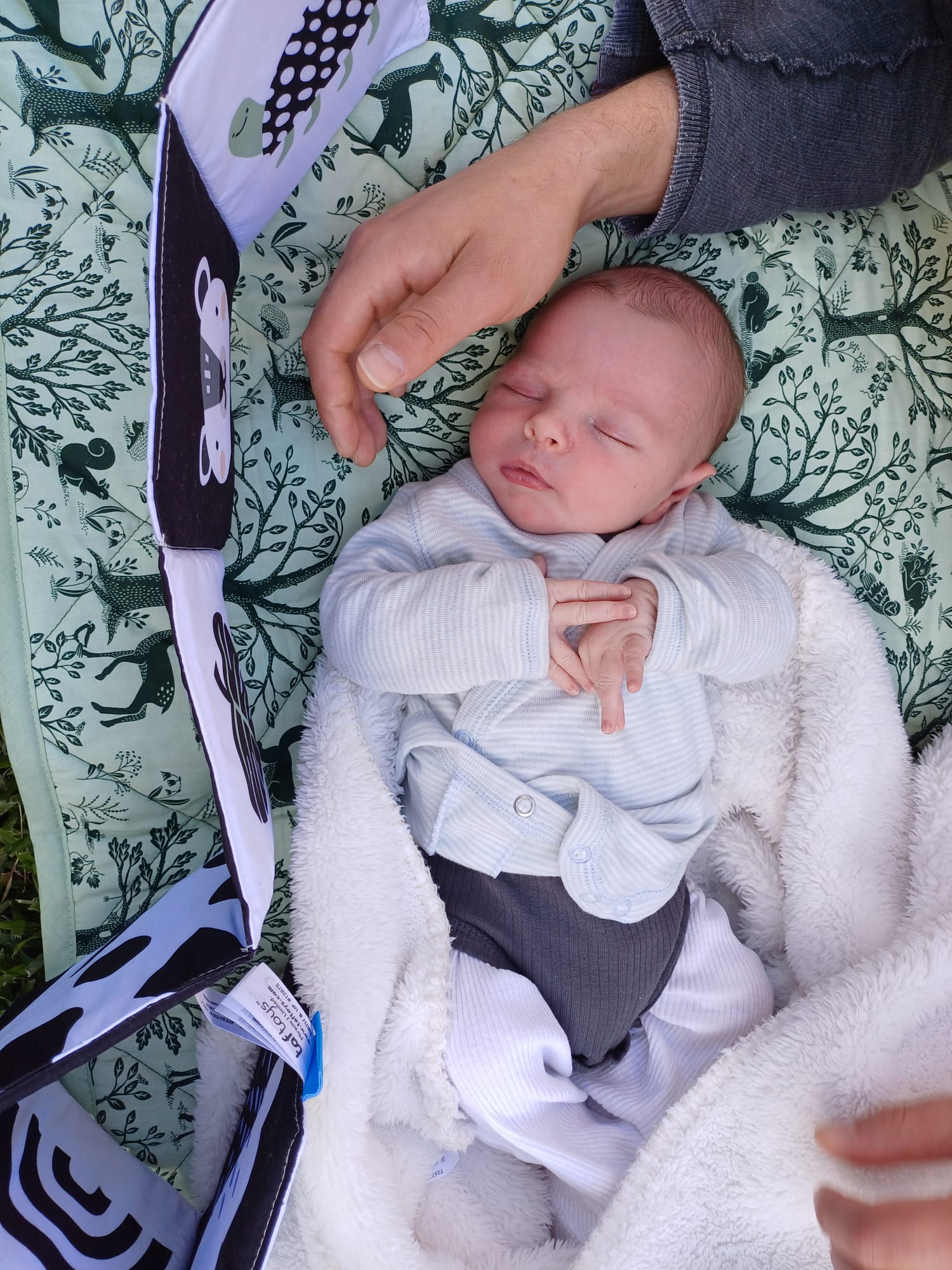 Welcome Adam to our family